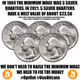 freedogecoin.lens-Collect-2159