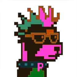 PunkDoge