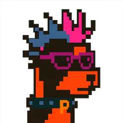 PunkDoge