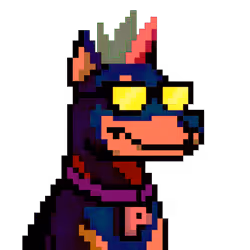 PunkDoge