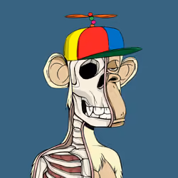 Item Media