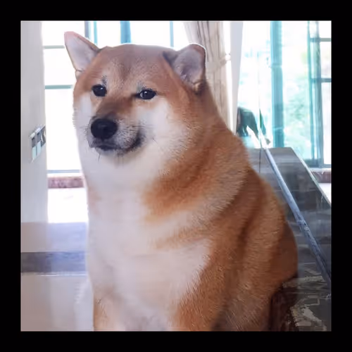 1499
