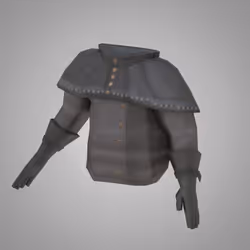 Tunic (ICE Level 1)