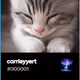 carrieyyert