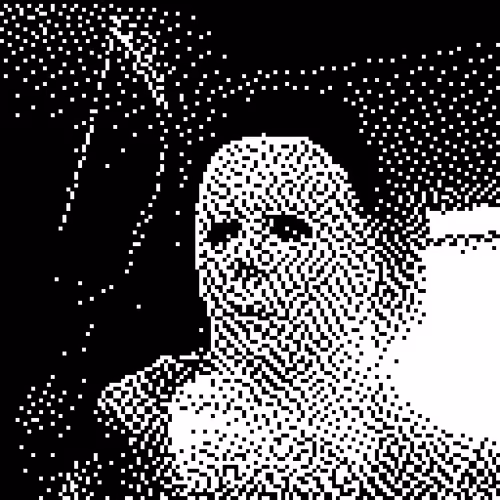 Dither Photo