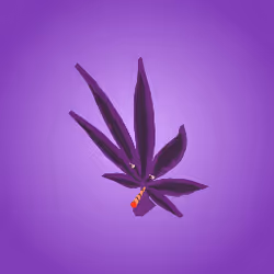 Budman purp