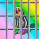 332
