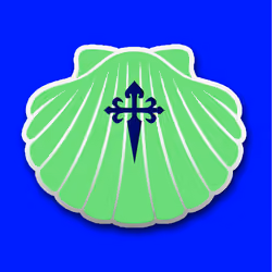 Shell_Nft495