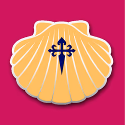 Shell_Nft498