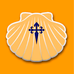Shell_Nft500