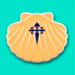 Shell_Nft501
