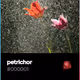 petrichor V2