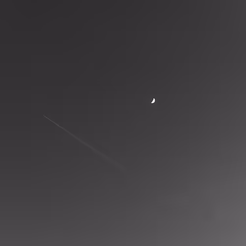 zospours.lens-Collect-3310