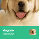 dogone