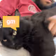 2454