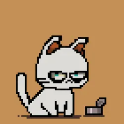 3304761034453044273675386836722464609744330715877734517542911125608411955213