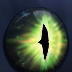 PENDROGO'S EYE