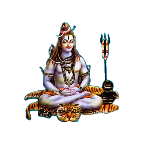 Shiva #39