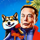 Elon Musk and Shiba Inu NFT