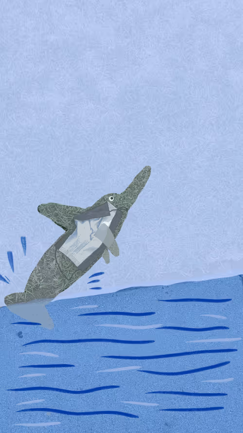 Item #10679312374 Media