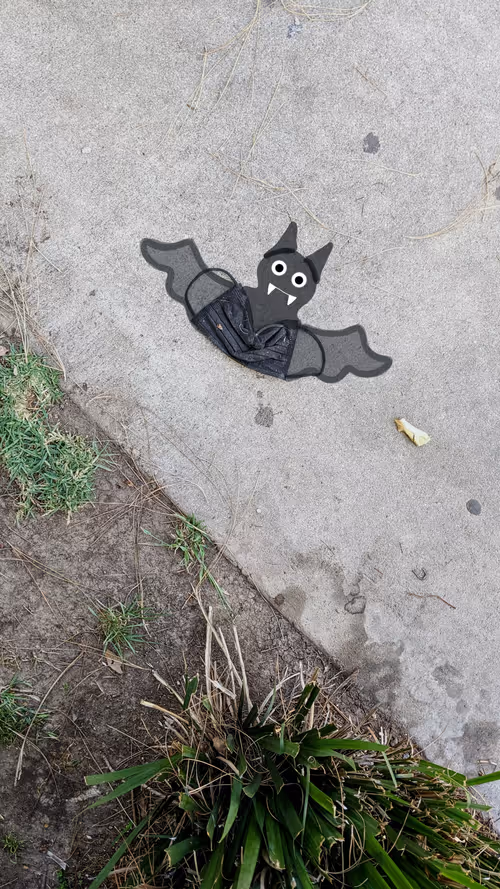 Item #17568281828 Media