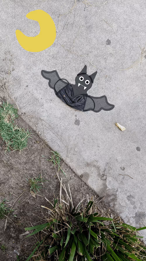 Item #7247087516 Media