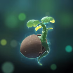 Metaforest Mystery Seed Box