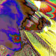 64