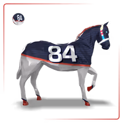 84