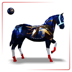 MC France