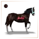 7568