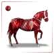 9284