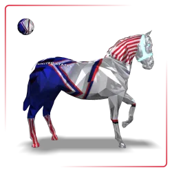 MC USA