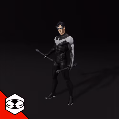 NightWing - Black & White #13