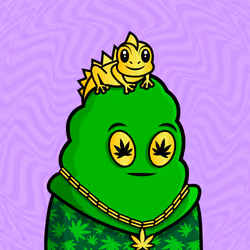 53