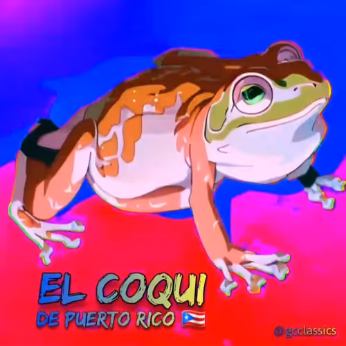El Coqui 2 1