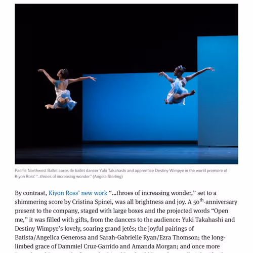 cristinaspinei.lens-Collect-1558