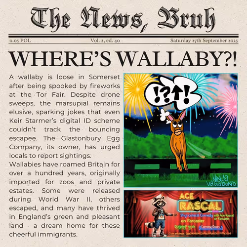 The News, Bruh. Vol 2, ed. 40