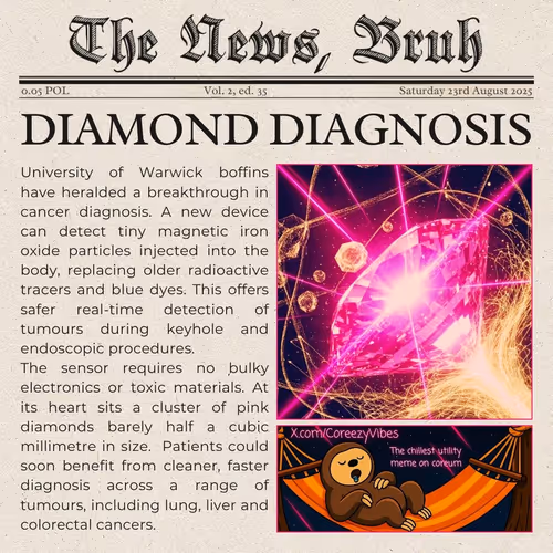 The News, Bruh. Vol 2, ed. 35