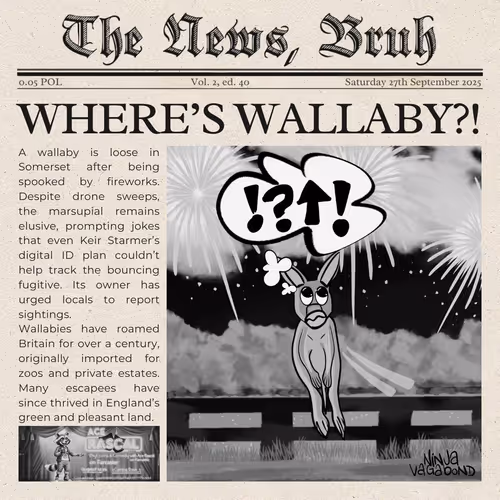The News, Bruh. Vol 2, ed. 40 mono