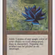Black Lotus
