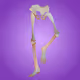 210624583337114373395836055367340864637790190801098222508621955117