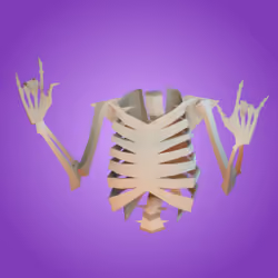 Skeleton Torso