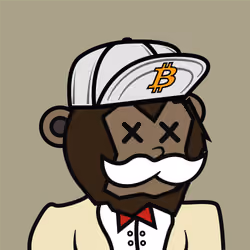 Mr. Crypto #978