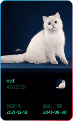 cat - QVJ3l8Yvao