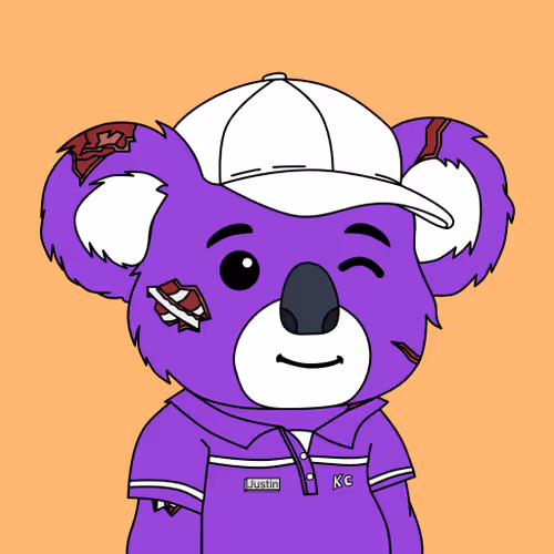 Polly Koalas