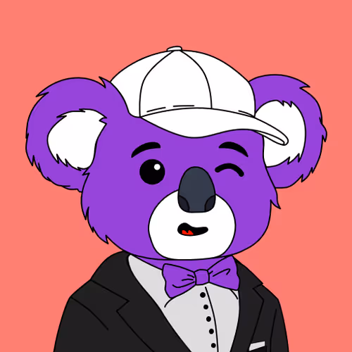 Polly Koalas