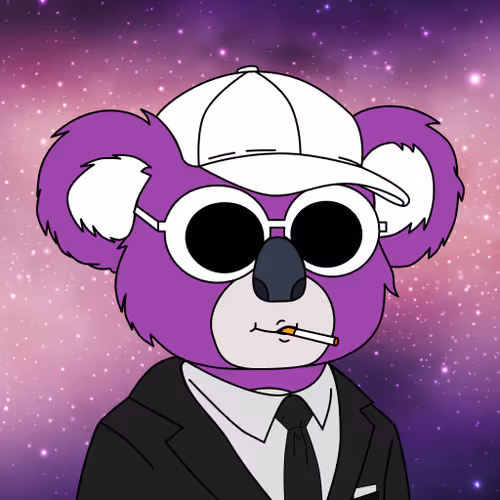 Polly Koalas