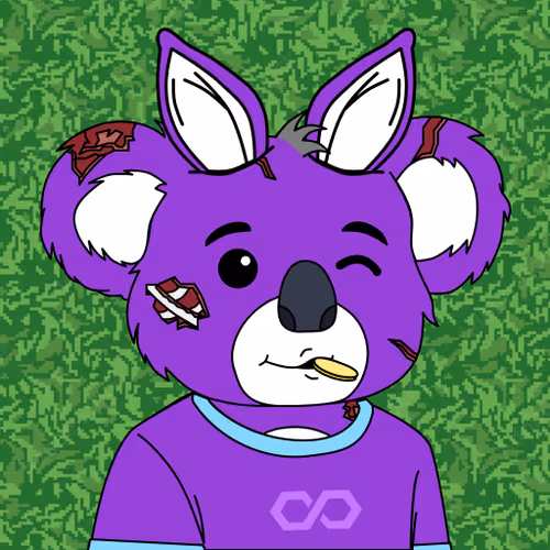 Polly Koalas