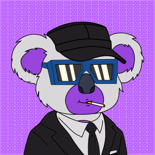 Polly Koalas
